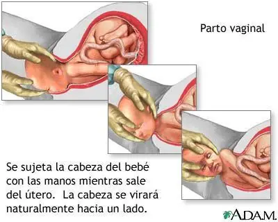 enfermedades