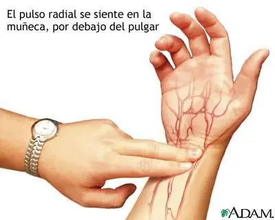 sistemas