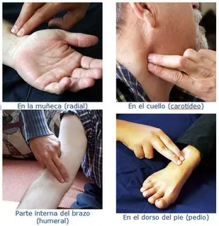 enfermedades