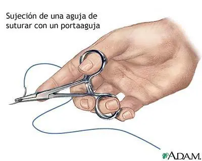 cuerpo humano
