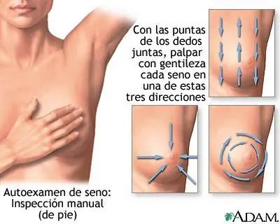 sistemas