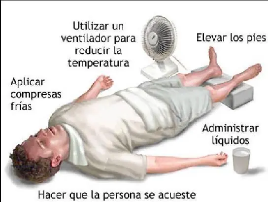 cuerpo humano