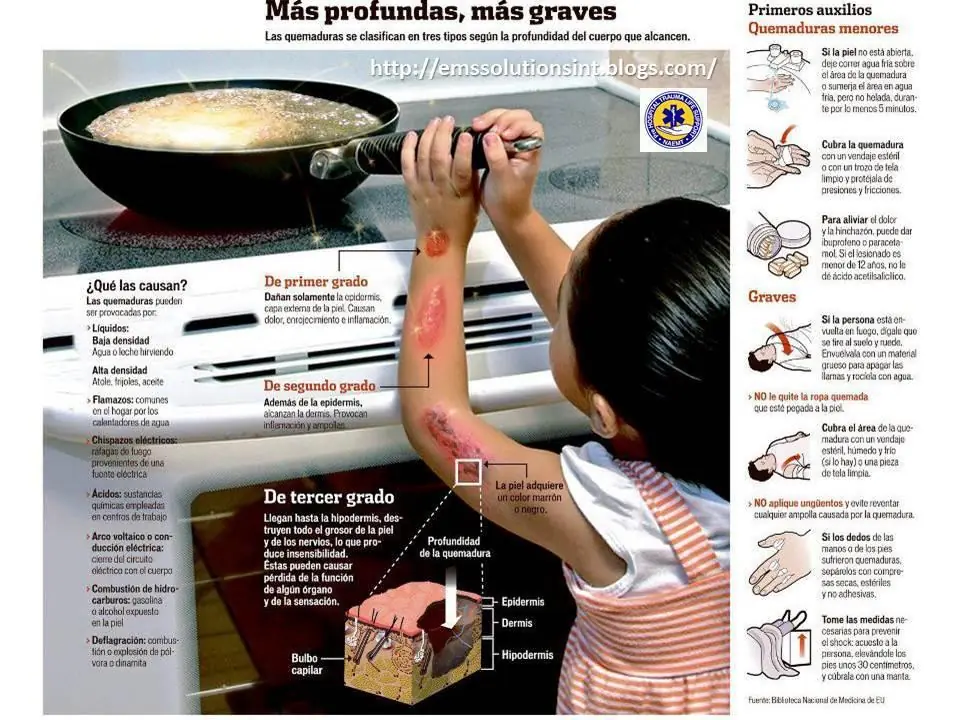 Conocé tu cuerpo.