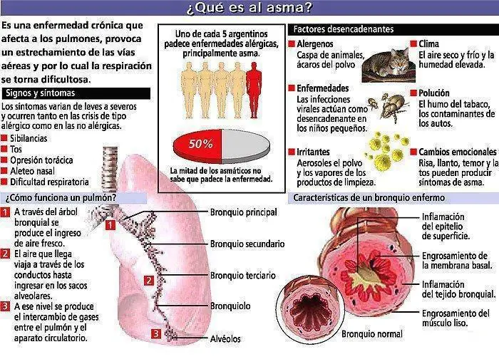 enfermedades