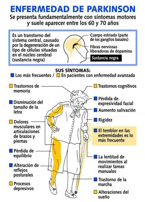 Conocé tu cuerpo.