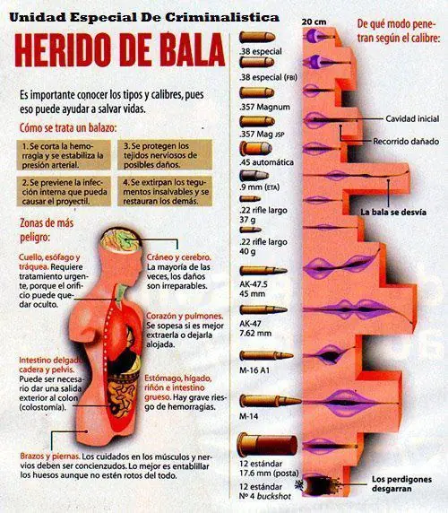 enfermedades