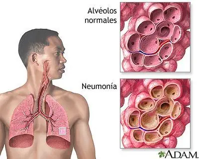 Conocé tu cuerpo.