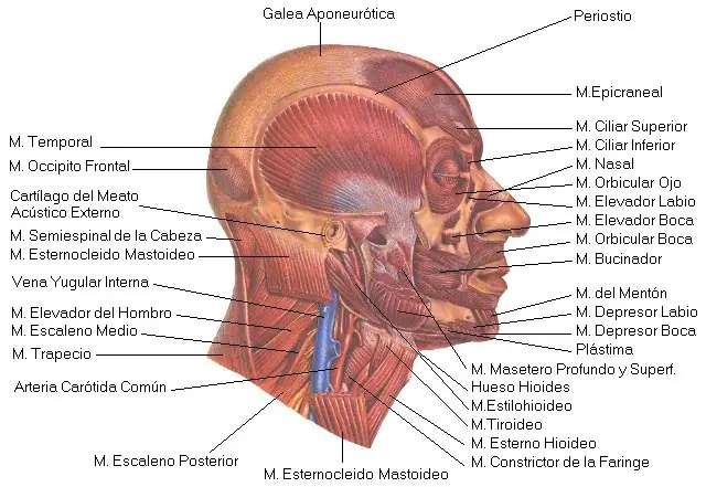 primeros auxilios