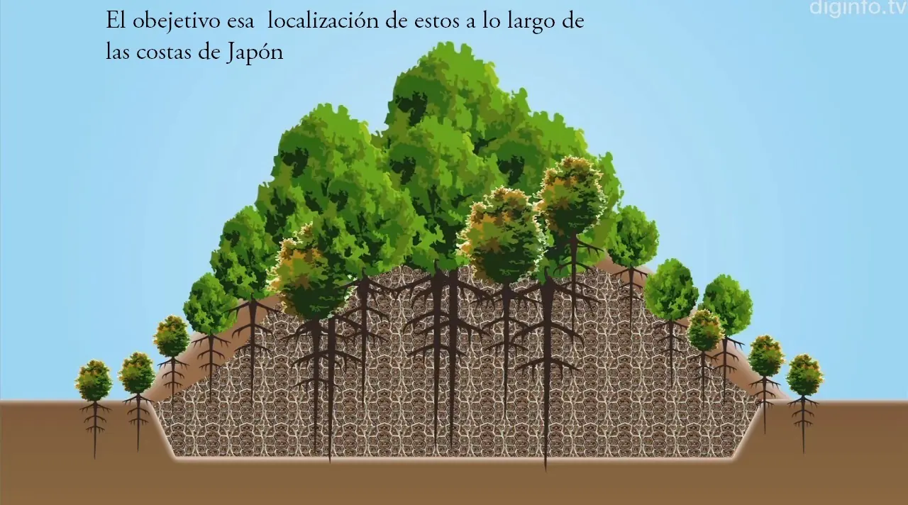 descubrimientos