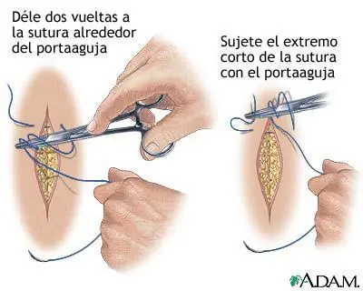 Conocé tu cuerpo.