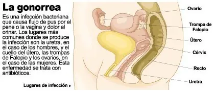 Conocé tu cuerpo.