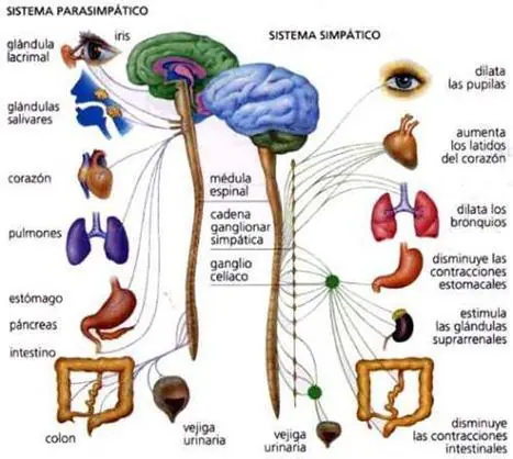 sistemas