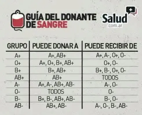 cuerpo humano