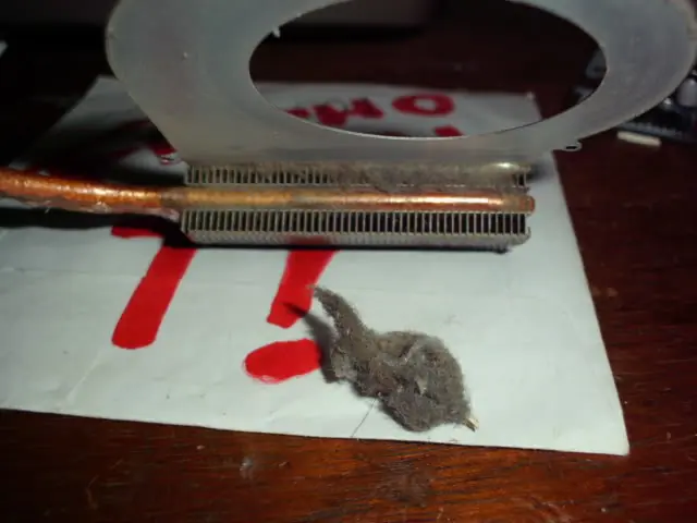 hp