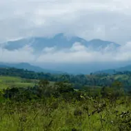 Tarapoto, el encanto de la selva