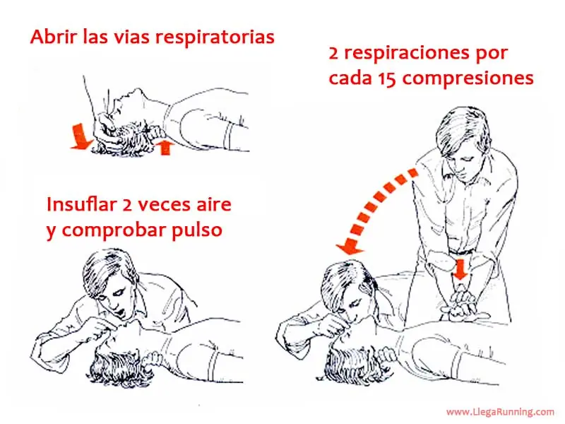 enfermedades