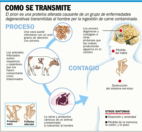 Conocé tu cuerpo.