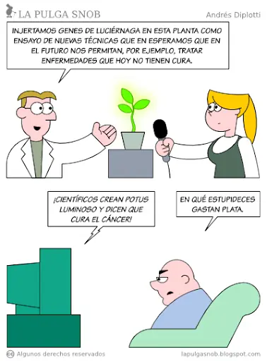 Gráfico