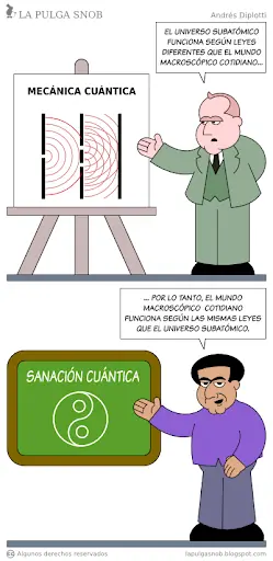 pulga snob