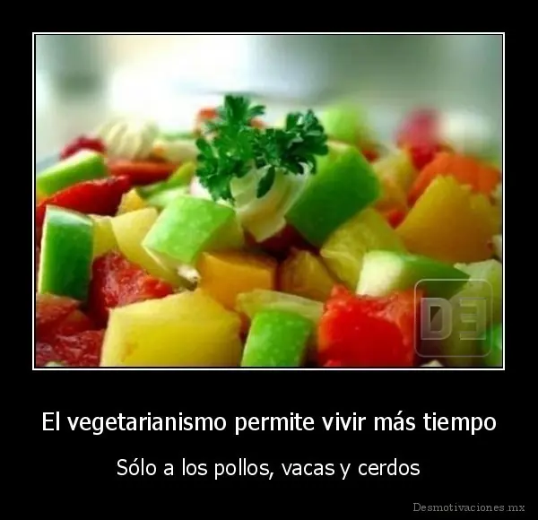 Varias razones para ser vegetariano. Necesarias o innecesari