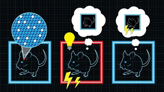 Espectacular, Nuevos Adelantos y Descubrimientos Cientificos