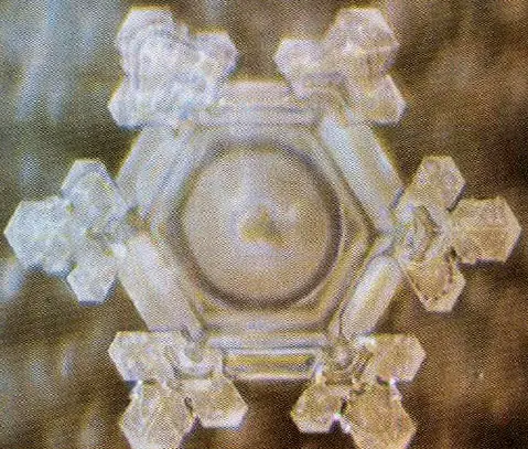 agua