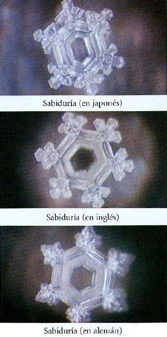 metafisica