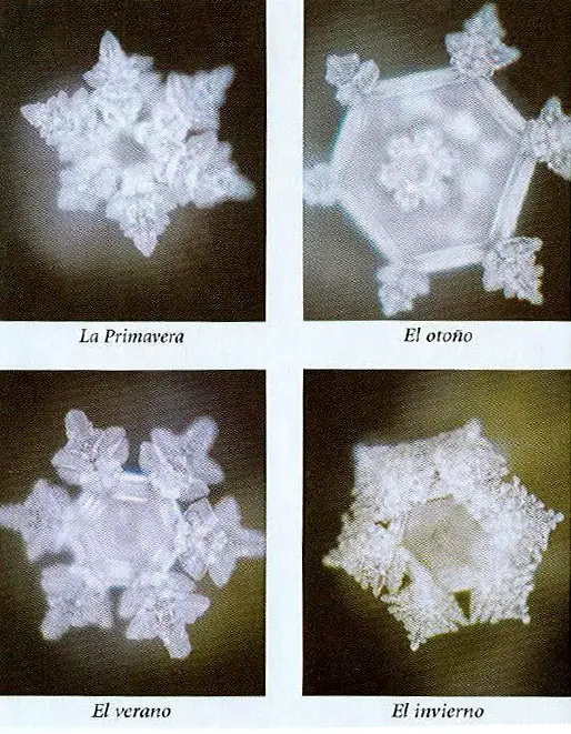 ciencia