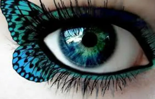 curiosidades