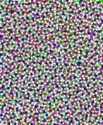 Hallan un nuevo estado de la materia en los ojos de un Pollo