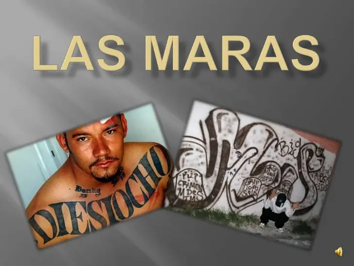 Las Maras
