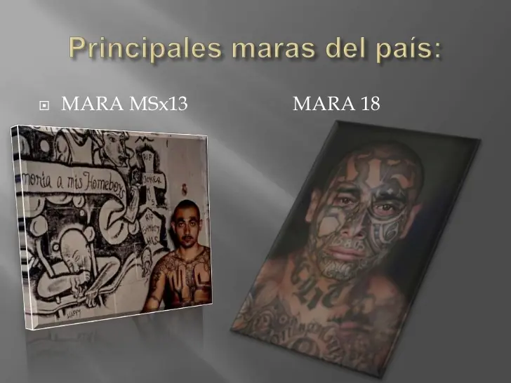 maras