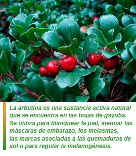 manchas en