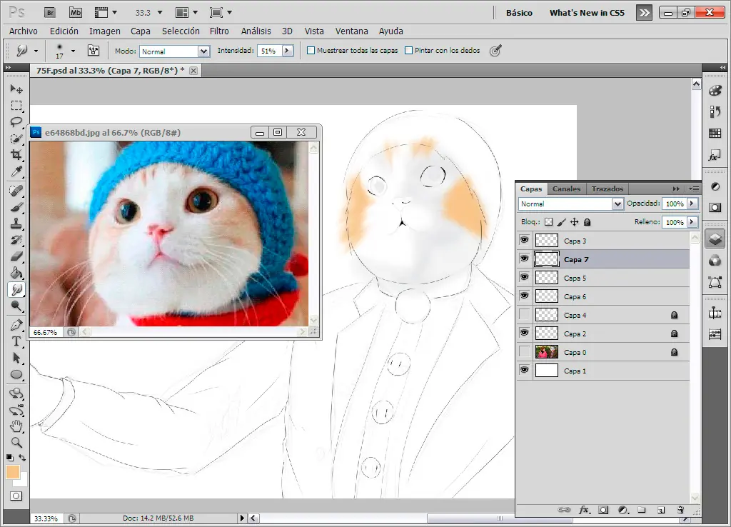 gato