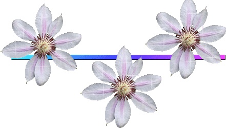 enfermedades