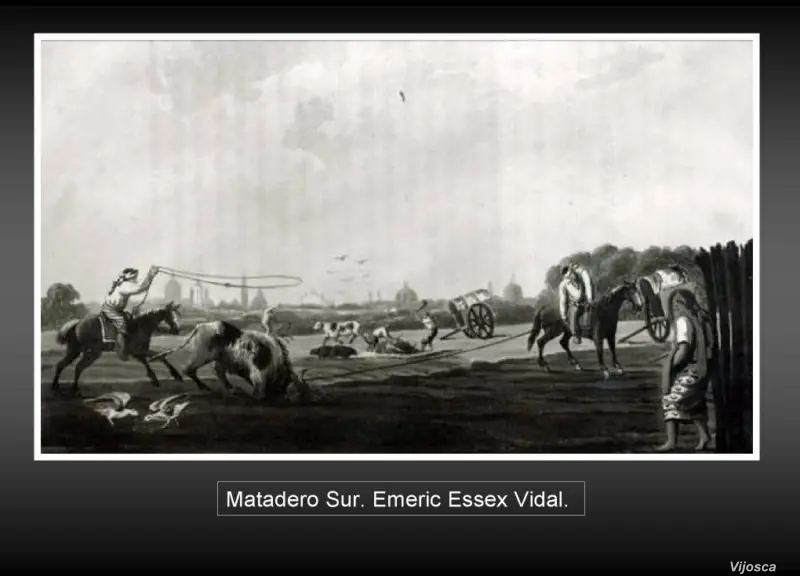 Historia de la pintura argentina.