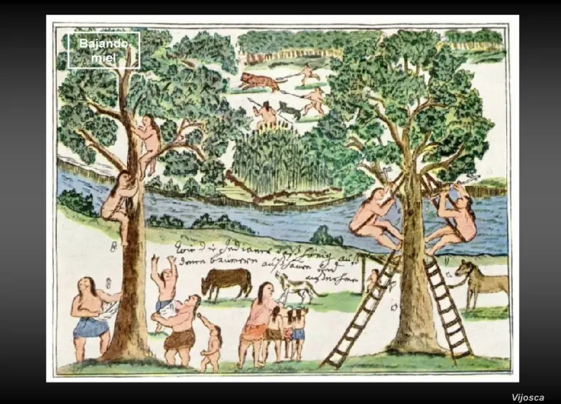 Historia de la pintura argentina.