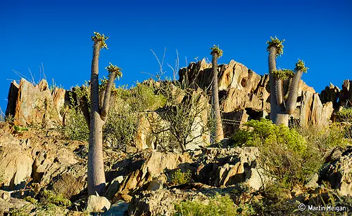 18 paisajes maravillosos