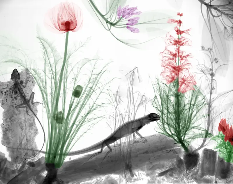 naturaleza