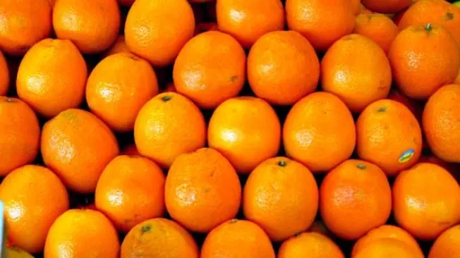 Lograron incorporar vitamina c en lacteos