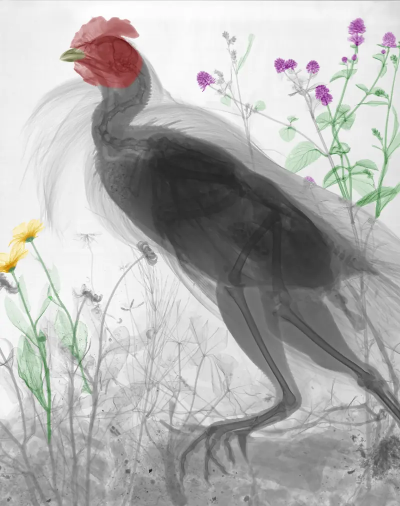 naturaleza