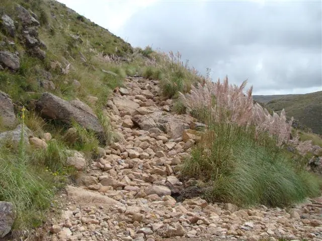 Cerro áspero en mi ex Honda Storm