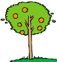 naranja