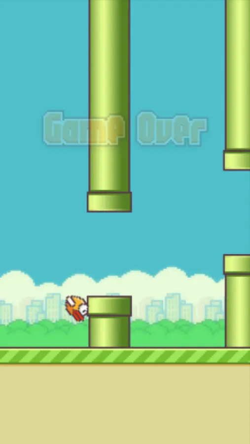 pajaro
