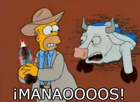 Imágenes de Manaos