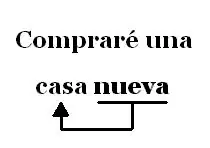 bsicas
