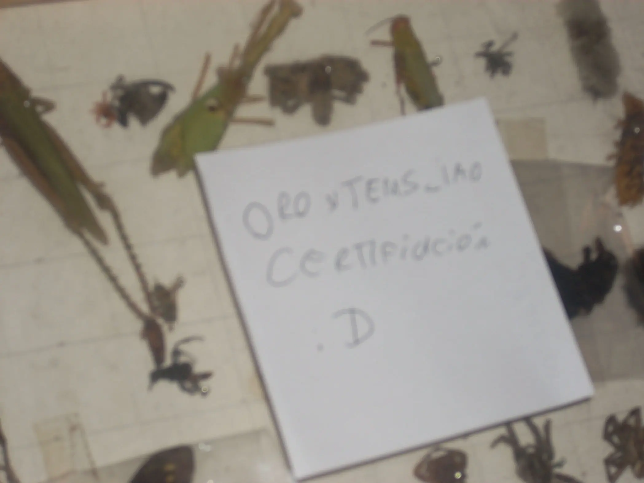 goles