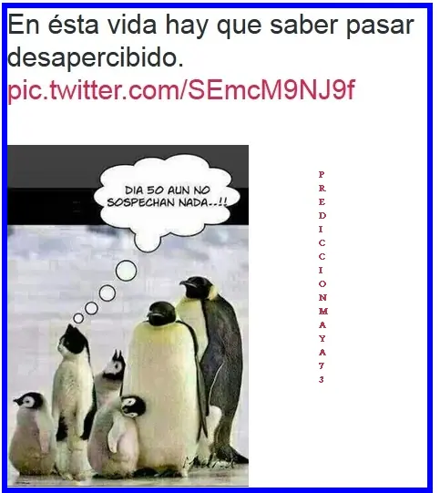 internet