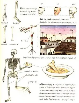Codex