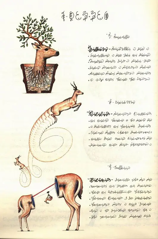 Codex Seraphinianus - Descripción de un mundo desconocido.